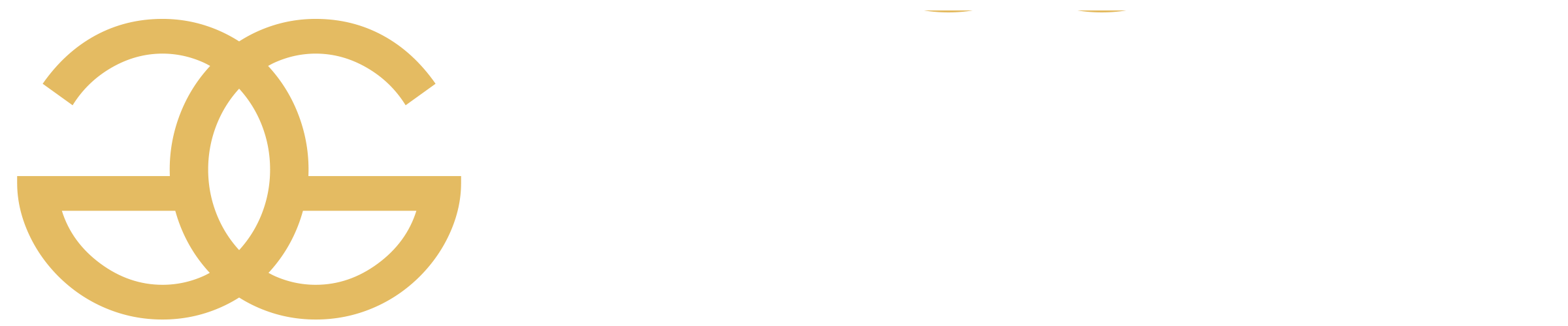 Gustavsson Grus – DEMO